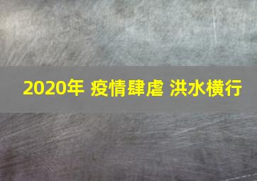 2020年 疫情肆虐 洪水横行